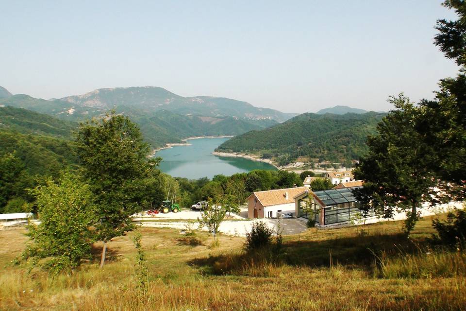 Ferrari Farm Società Agricola