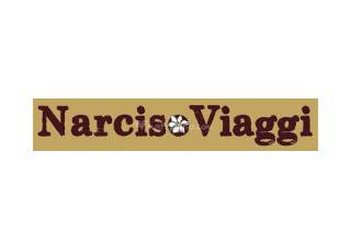 Narciso Viaggi logo