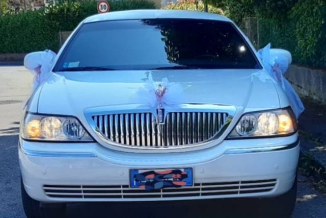 Limousine 9.mt.