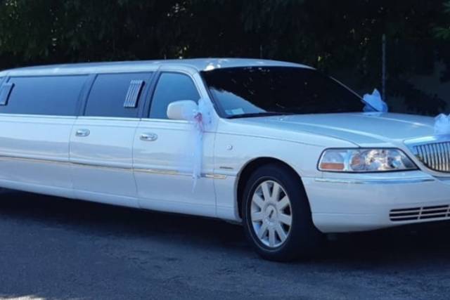 Limousine