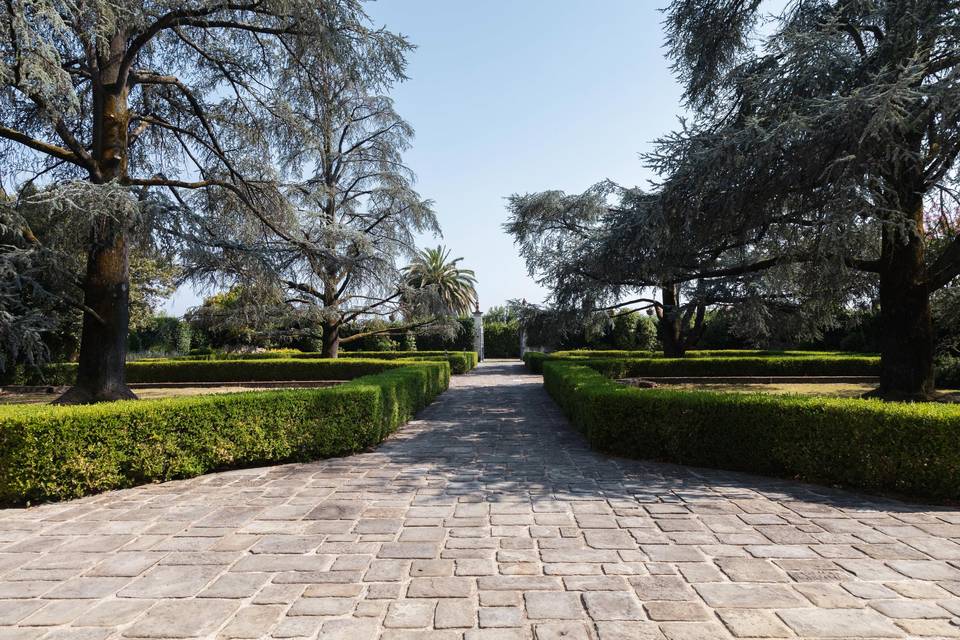 Giardino