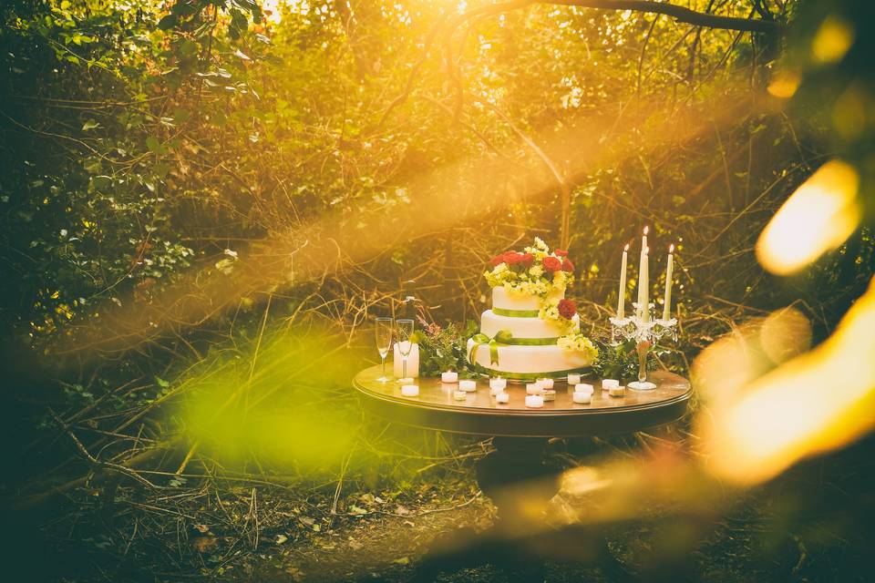 Wedding - Torta nuziale