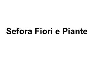 Sefora Fiori e Piante