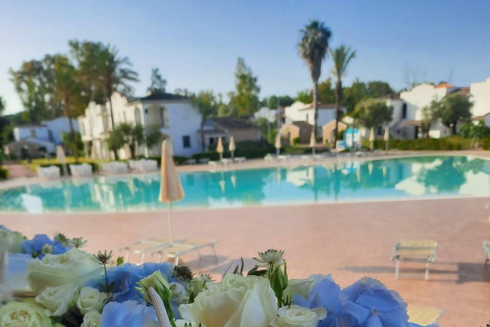 Fiori e Piante La Peonia