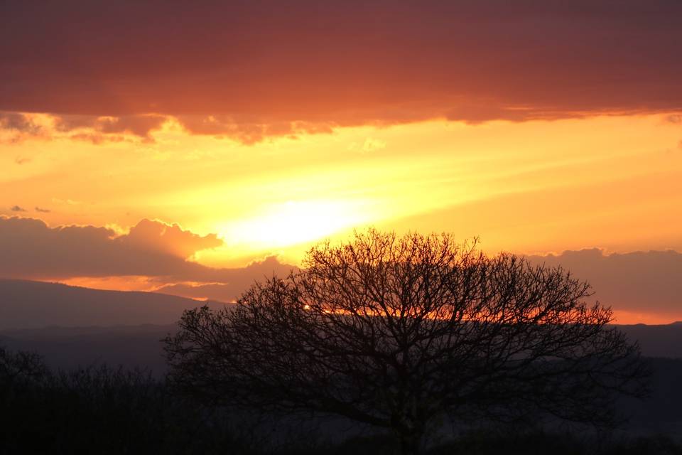 Tramonto nella Savana