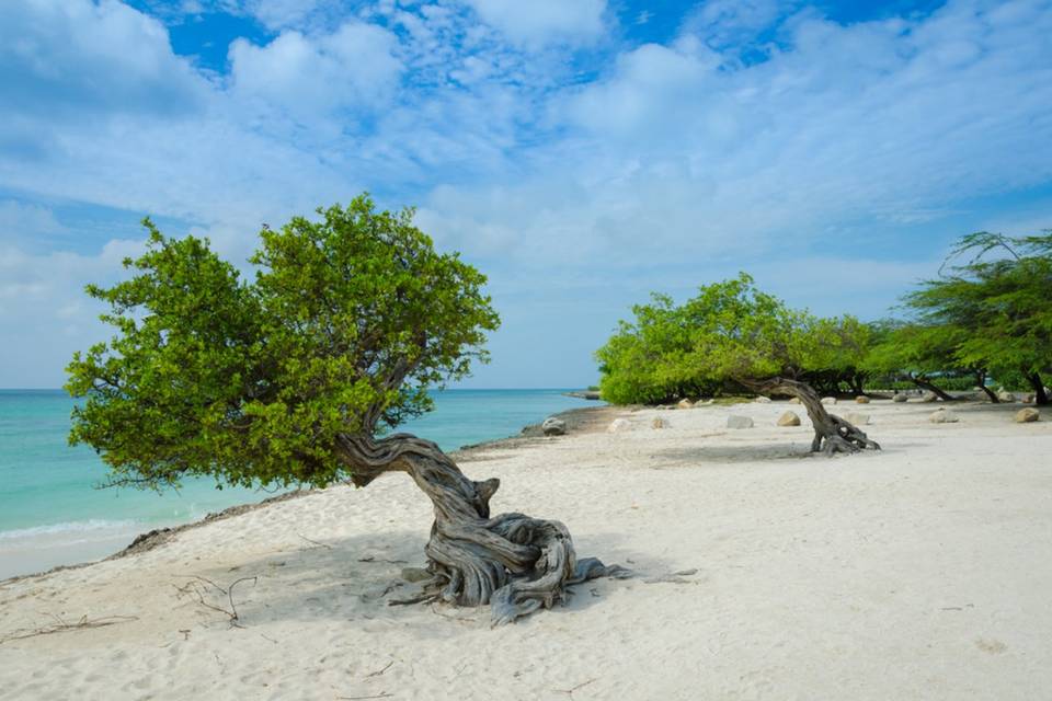 Caraibi