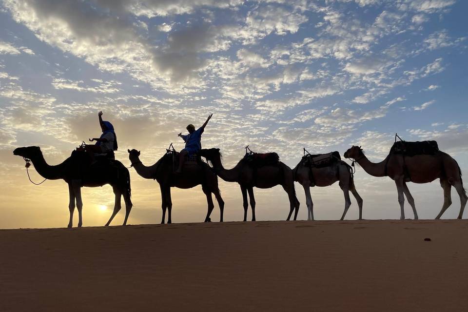 Oman - tour nel deserto