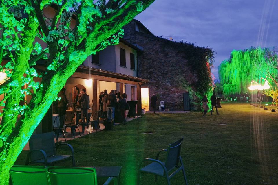 Garden & Patio