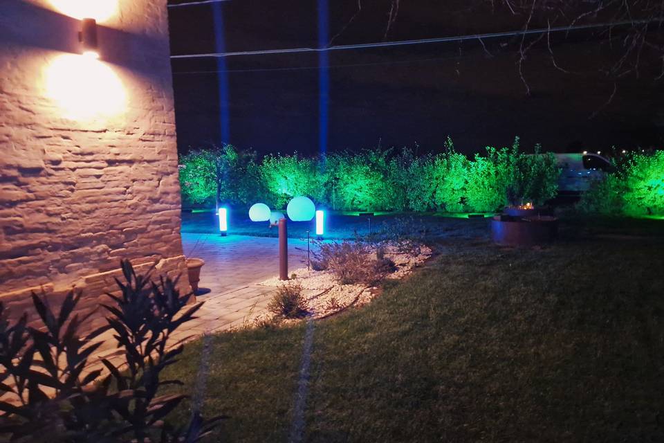 Luci
