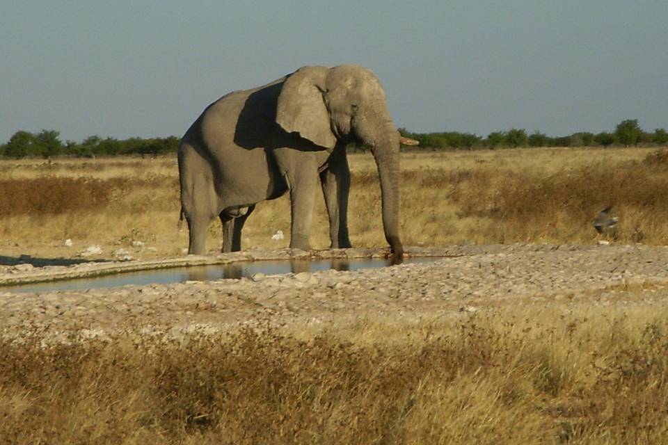 Namibia