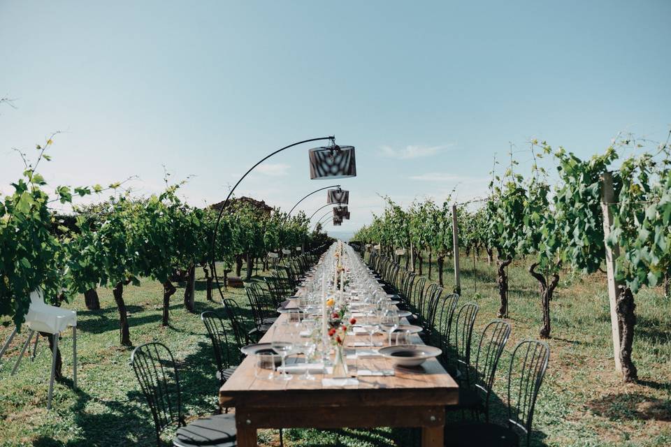Cena in vigna