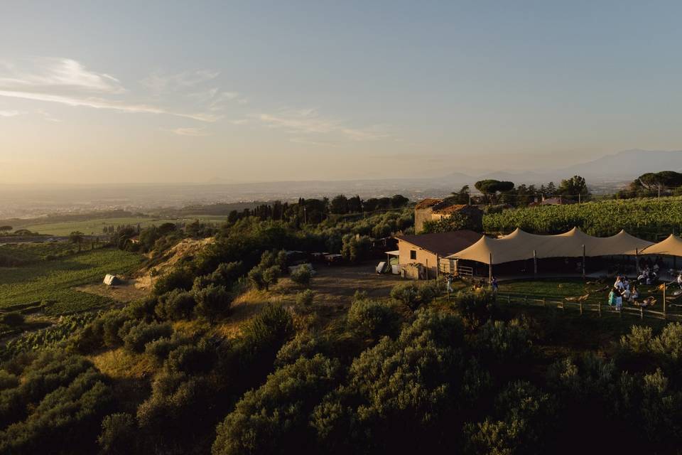 Dal drone