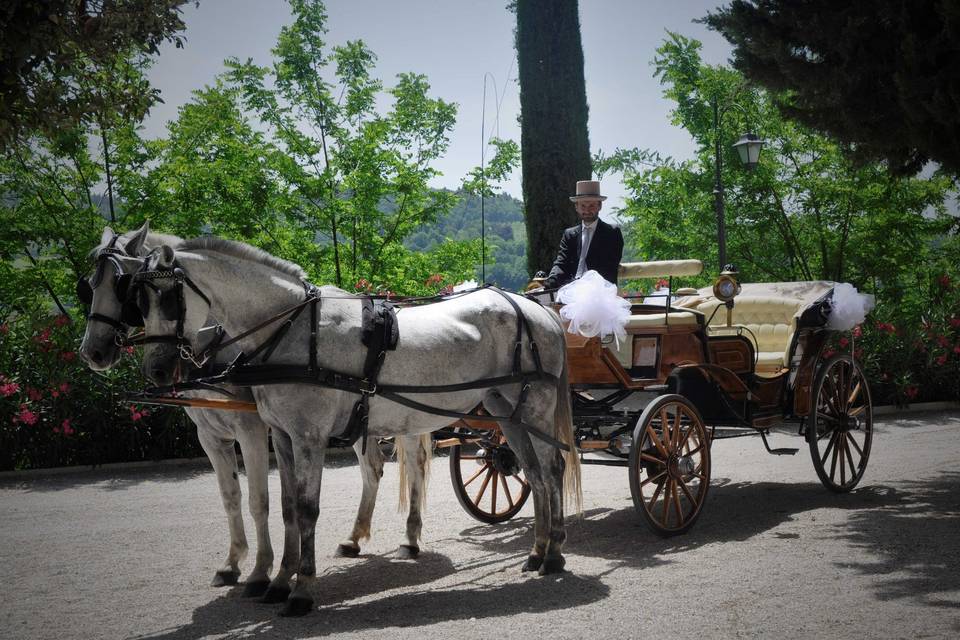 Cinzia Pierantozzi