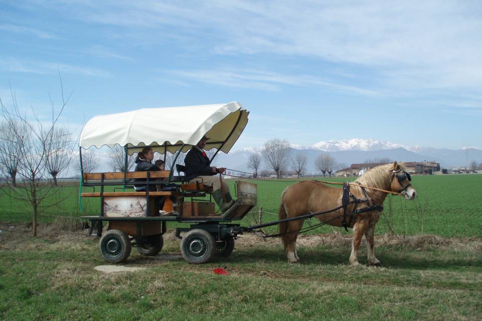 Agriturismo Cascina Gorgia