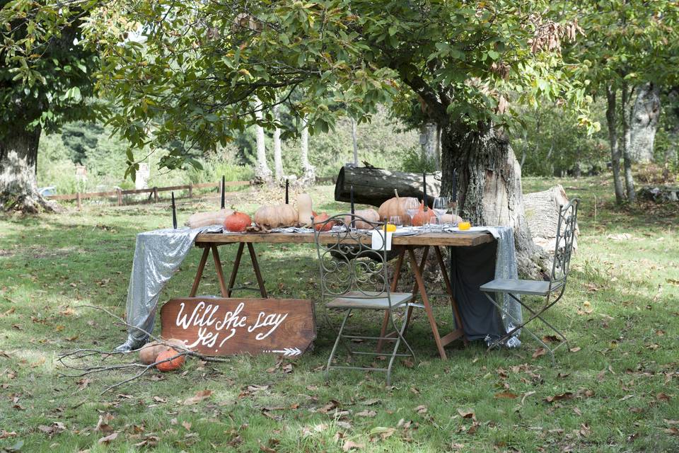 Proposal wedding allestimento