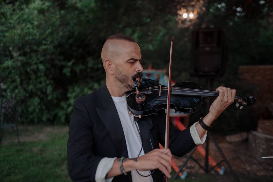VIOLINO
