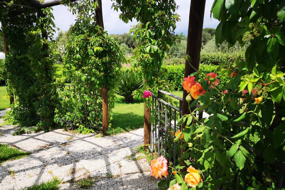 Roseto