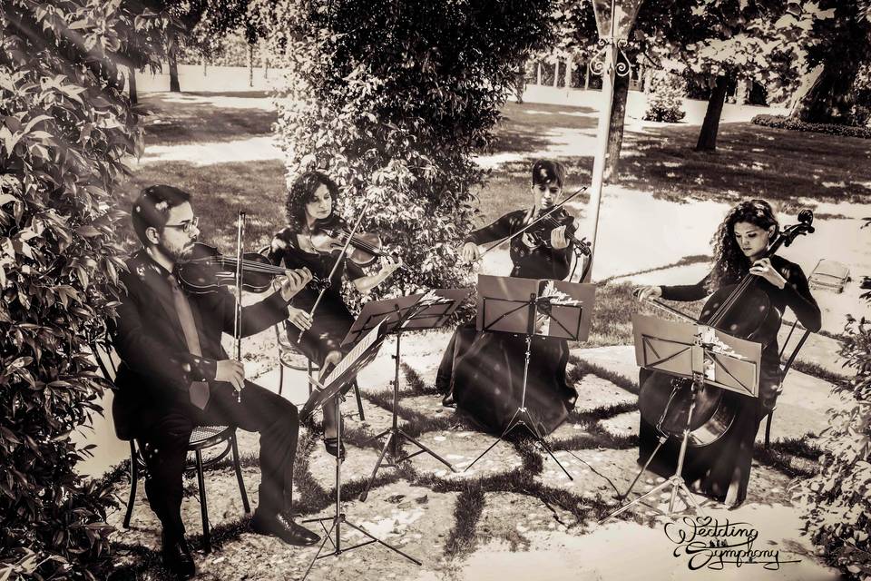 Quartetto