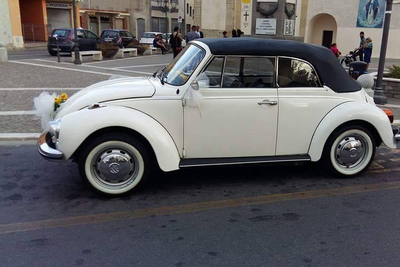 Beetle