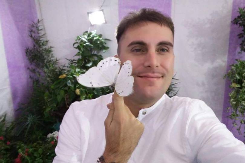 Farfalle