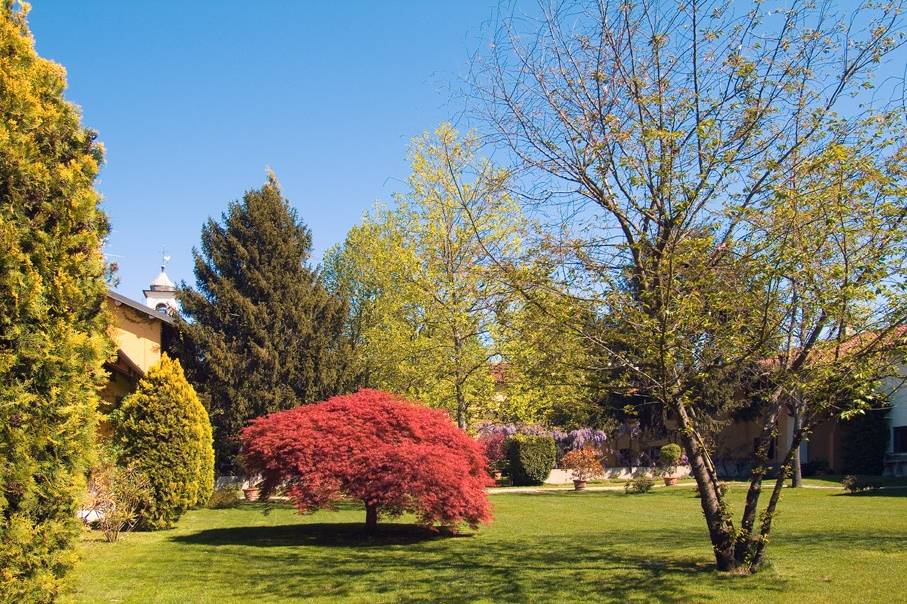Giardino