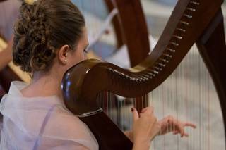 Jennifer Celtic Harp