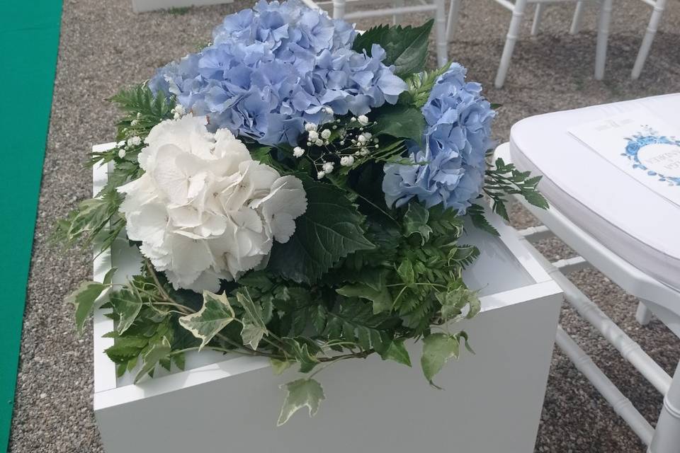 Cubo ortensie blu