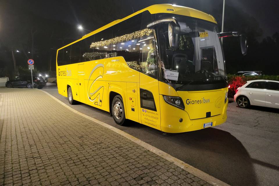 Bus Scania 56 pax