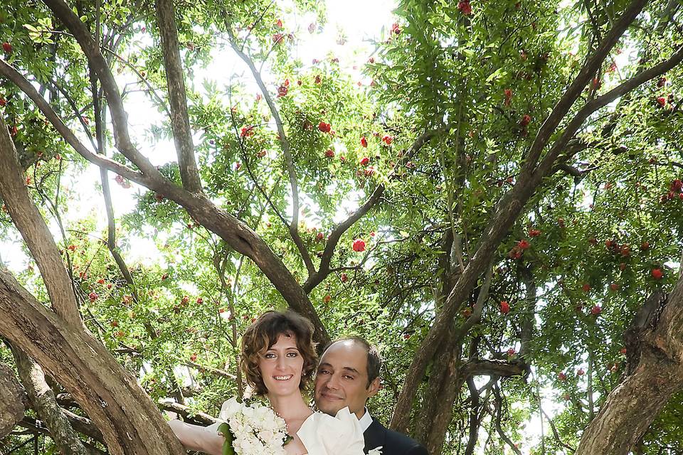 All'orto botanico