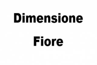 Dimensione fiore