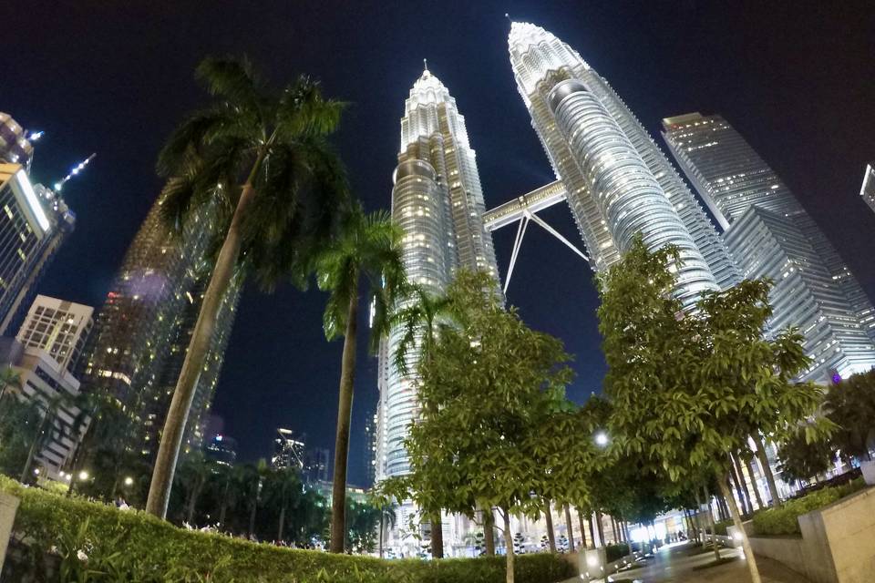 Petronas Tower