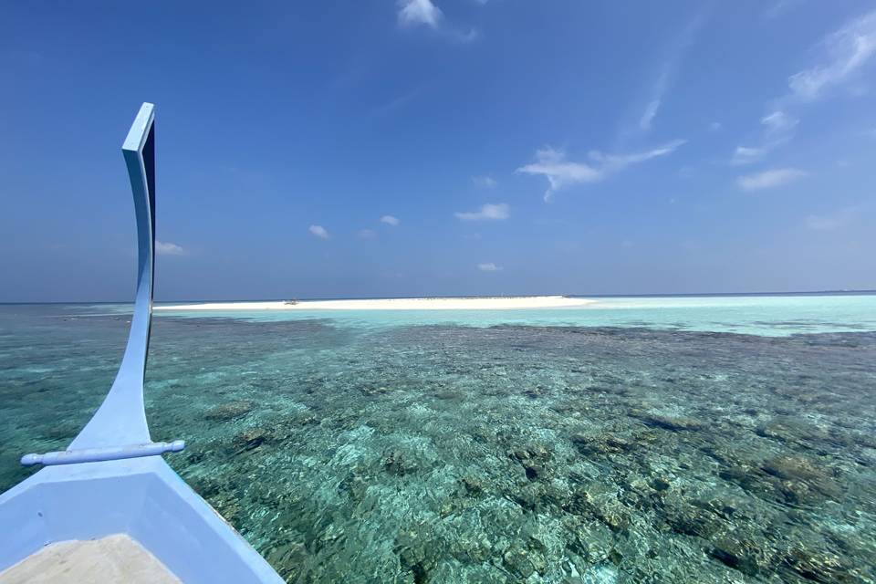 Maldive