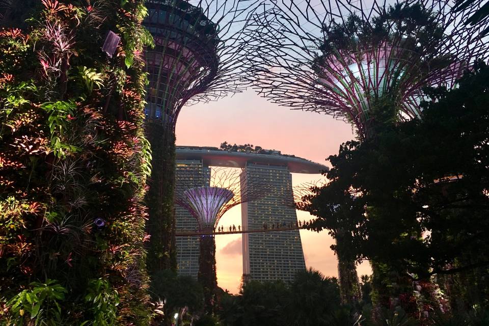 Singapore