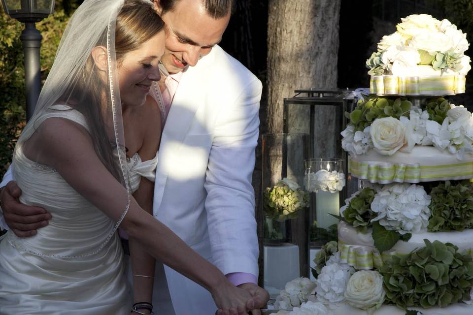 Wedding cake - torta nuziale