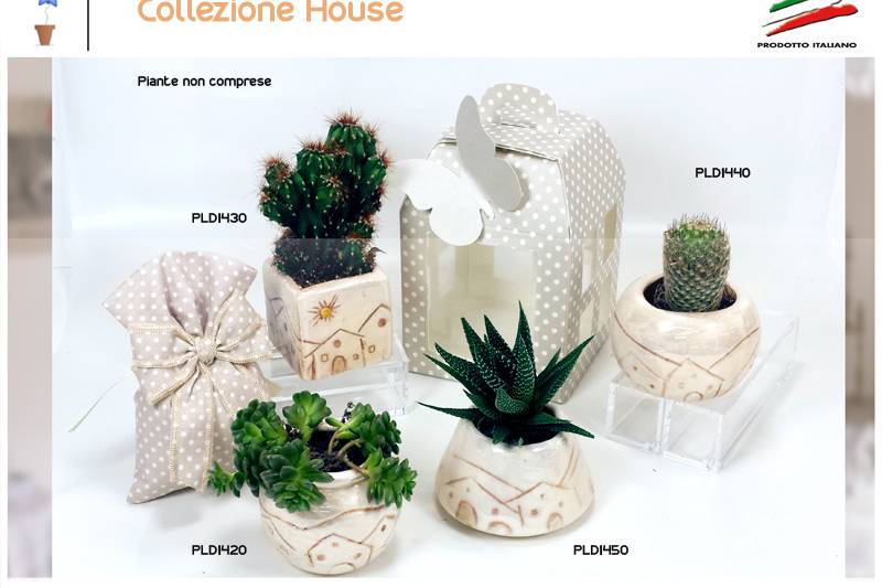 Collezione house