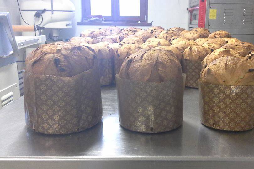 Panettoni, lievito madre