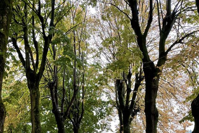 Uno scorcio autunnale