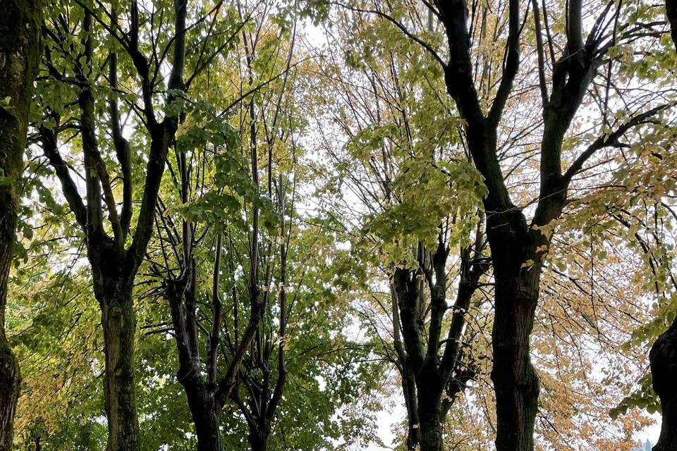 Uno scorcio autunnale