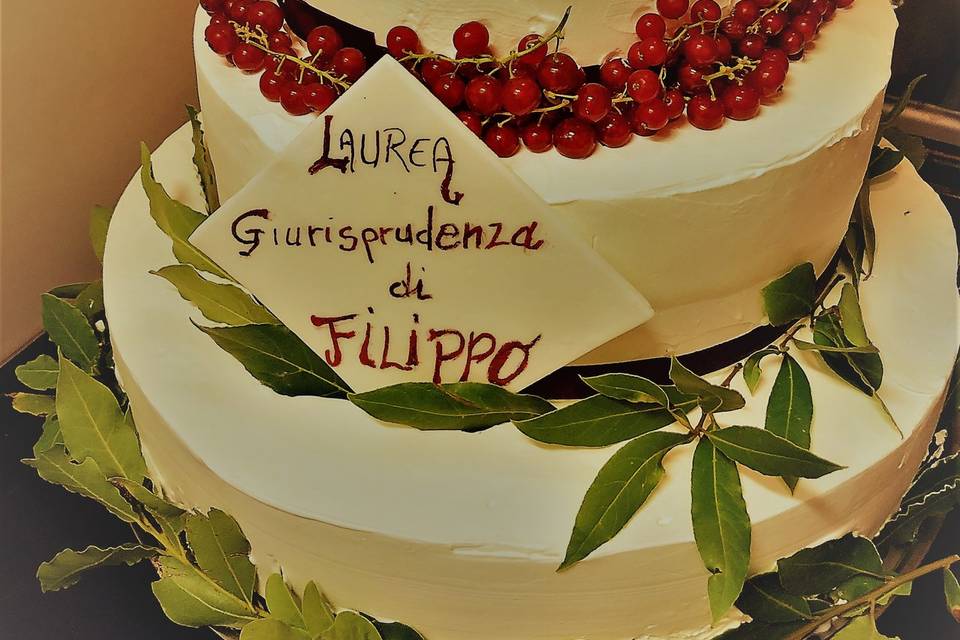 Torta laurea