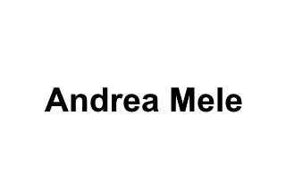 Andrea mele portfolio