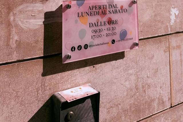 Organizzazione