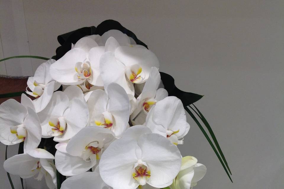 Bouquet phalenopsis