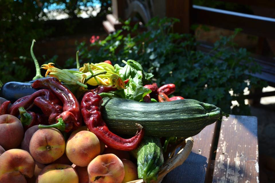 Agriturismo San Basilio