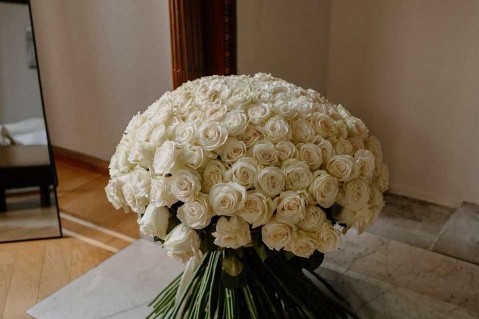 Rose bianche