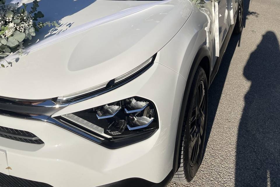 Decorazioni auto