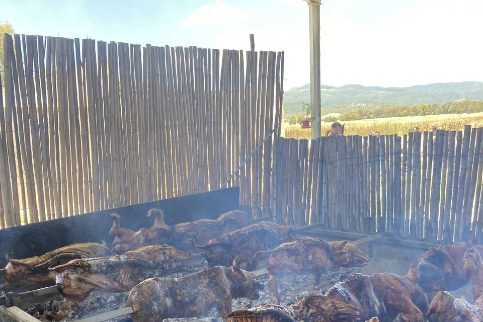 Il barbecue