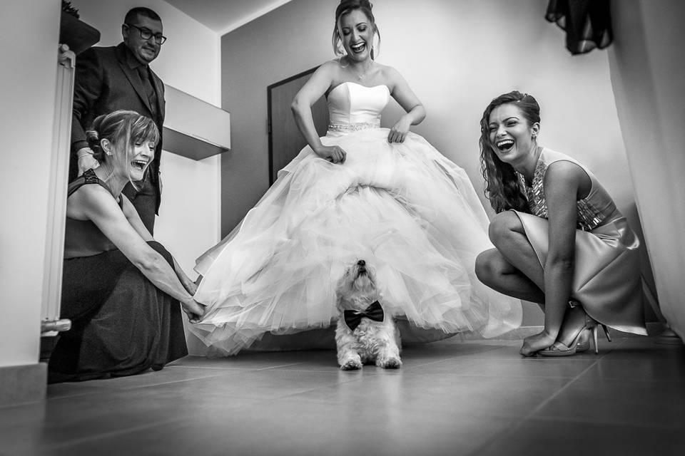 La Sposa ed il suo cagnolino