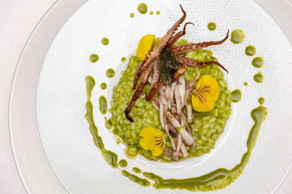 vista alto polpo risotto e salse