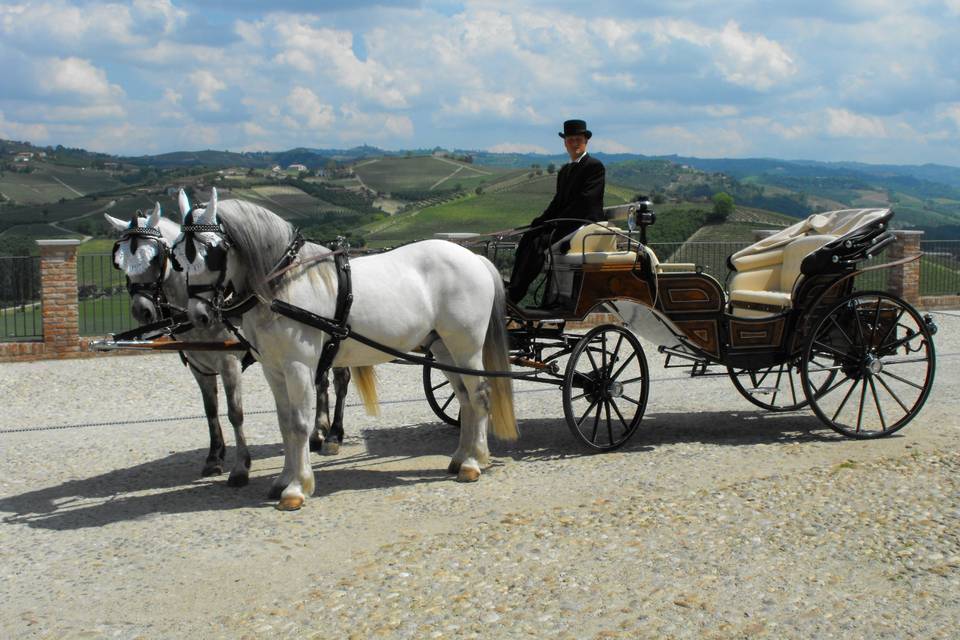 Servizi in carrozza