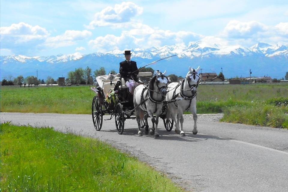 Servizi in carrozza